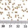 11/0 Grade A Glass Seed Beads SEED-S030-1219-4