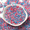 Baking Paint Glass Seed Beads SEED-P006-03A-12-2