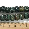 Natural Indian Agate Beads Strands G-G142-A11-01-5