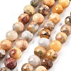 Natural Crazy Agate Beads Strands G-C179-A22-02-2