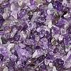 Natural Amethyst Chip Beads X-G-L453-06-1