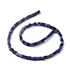 Natural Sodalite Beads Strands G-F631-K17-2