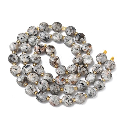 Natural Syenite Beads Strands G-K389-B86-01-1