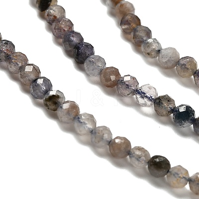 Natural Iolite Beads Strands LS-G-RM2025-22-3mm-1