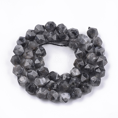 Natural Larvikite Beads Strands G-S348-03-1