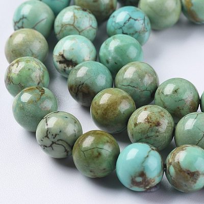 Natural Magnesite Beads Strands TURQ-F017-02-8mm-1