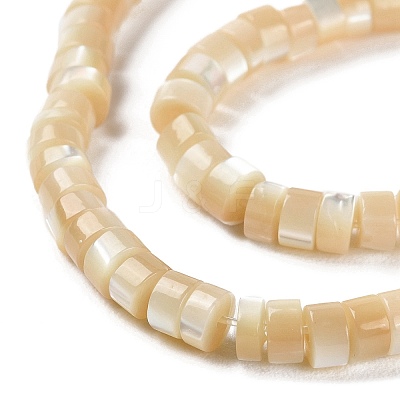 Natural Trochus Shell Beads Strands BSHE-E030-09B-02-1