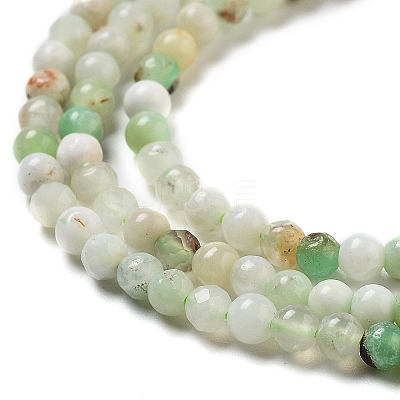 Natural Serpentine Beads Strands G-G161-D24-01-1