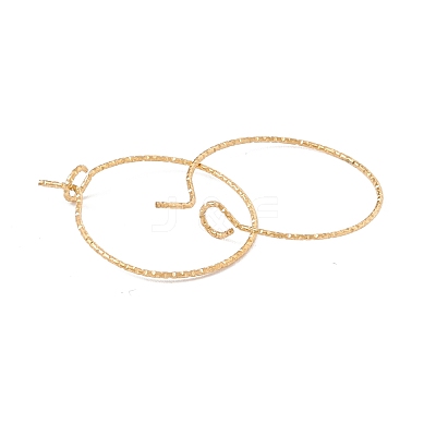 Ion Plating(IP) 316 Surgical Stainless Steel Hoop Earrings Findings STAS-D183-02G-01-1