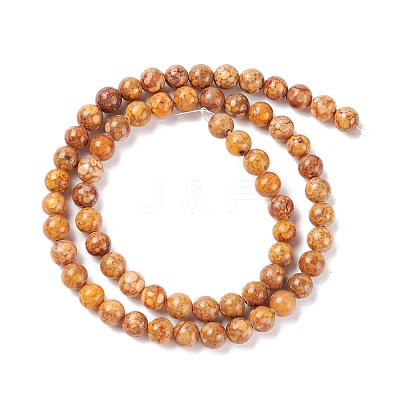 Natural Maifanite/Maifan Stone Beads Strands G-P451-01B-C-1