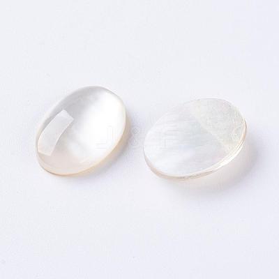 Shell Cabochons G-L470-15-1