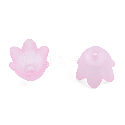 Opaque & Transparent Acrylic Beads MACR-T045-01C-1