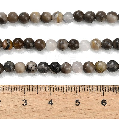 Natural Volcanic Agate Beads Strands G-G305-A01-4mm-1