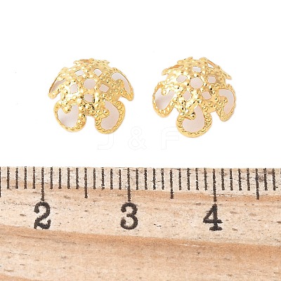 Iron Bead Caps IFIN-D040-G-1