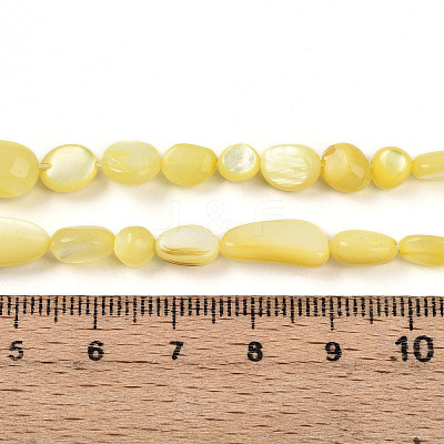 Natural White Shell Beads Strands SHEL-N036-21H-1