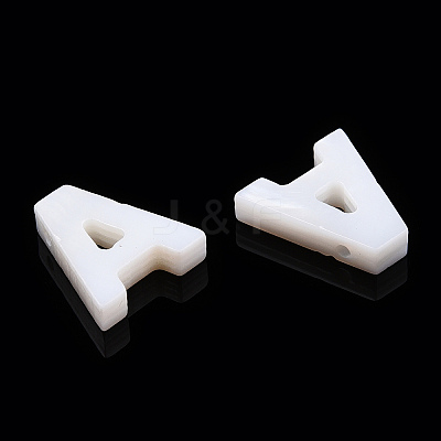 Natural Freshwater Shell Beads SHEL-S278-072A-1