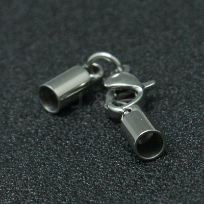 Tarnish Resistant 304 Stainless Steel Lobster Claw Clasps LS-STAS-I045-45-1