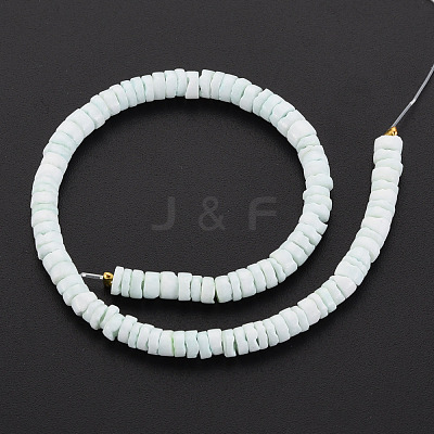 Sea Shell Beads Strands SSHEL-T014-49-1