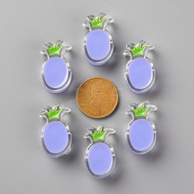 Transparent Enamel Acrylic Beads TACR-S155-002J-1