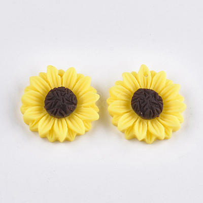 Resin Pendants CRES-T010-58A-1