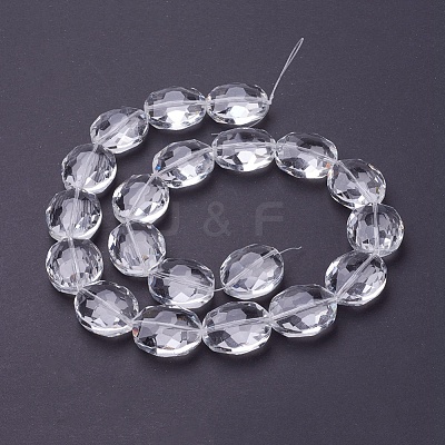 Glass Bead Strands GLAA-R196-24x20mm-01-1
