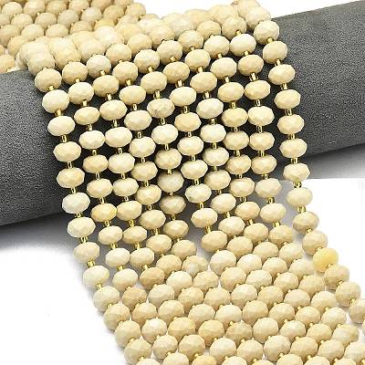 Natural Fossil Beads Strands G-P573-A42-01-1