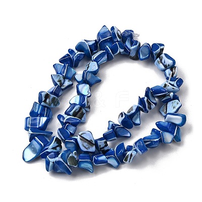 Natural Trochid Shell/Trochus Shell Beads Strands SHEL-B003-02G-1