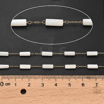 Handmade 304 Stainless Steel Shell Beads Column Link Chains CHS-B011-06G-1