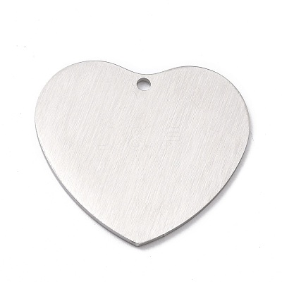 Tarnish Resistant 304 Stainless Steel Pendants STAS-F271-06G-P-1