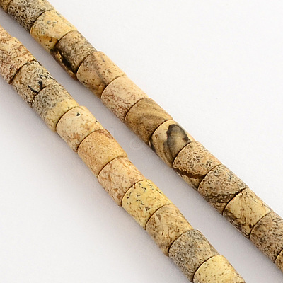 Natural Picture Jasper Stone Bead Strands G-R187-12-1