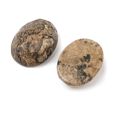 Natural Picture Jasper Cabochons G-Q186-01B-1