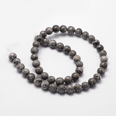 Natural Map Stone/Picasso Stone/Picasso Jasper Round Beads Strands G-E329-8mm-47-1