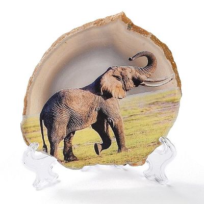 Printed Natural Agate Slice Stone Ornament DJEW-M011-03I-1