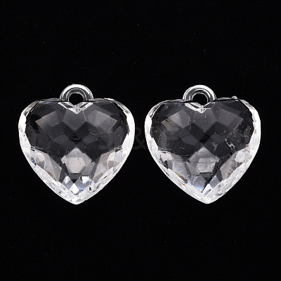 Transparent Acrylic Pendants X-TACR-T024-03B-205-1