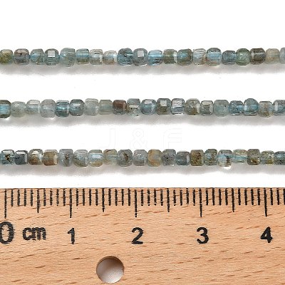 Natural Apatite Beads Strands G-B107-C01-01-1