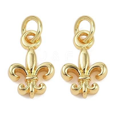 Brass Pendants KK-L231-09G-1