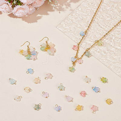 Frosted Acrylic Charms PALLOY-AR00037-1