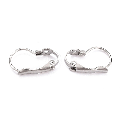 Tarnish Resistant 304 Stainless Steel Leverback Earring Findings LS-STAS-B003-05P-1