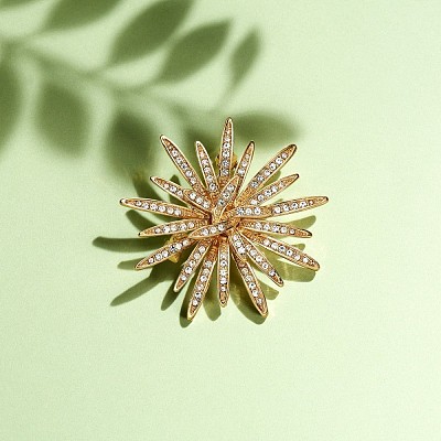 Alloy Brooch JBR057A-1