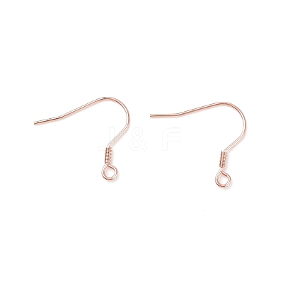 304 Stainless Steel Earring Hooks STAS-P221-04RG-1