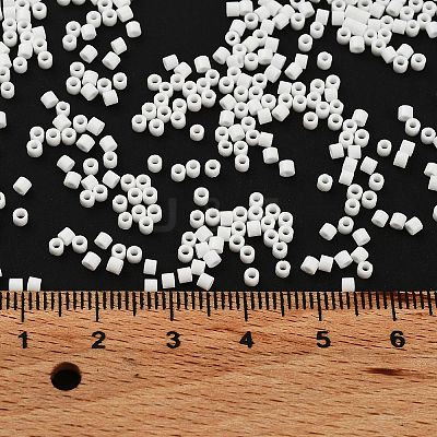Opaque Colours Glass Seed Beads X-SEED-S042-09B-03-1