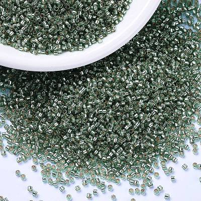 MIYUKI Delica Beads X-SEED-J020-DB2165-1