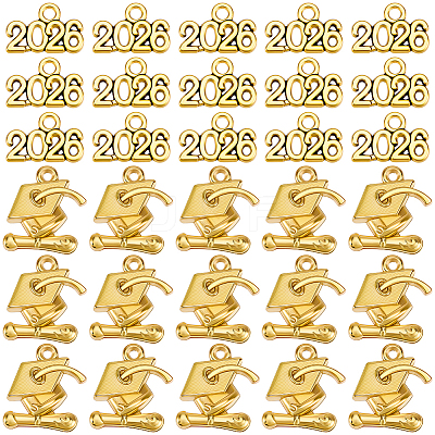100Pcs 2 Styles Alloy Pendants FIND-SC0021-89AG-1