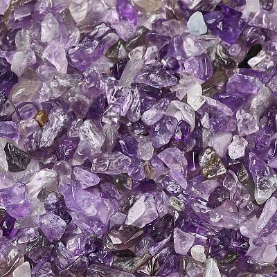 Natural Amethyst Chip Beads X-G-L453-06-1