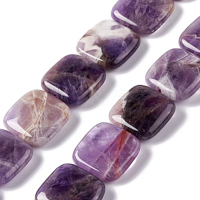 Natural Amethyst Beads Strands G-L253-11-1