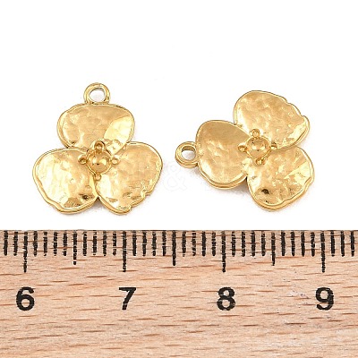 304 Stainless Steel Charms SA-CBA3ECF-05G-1
