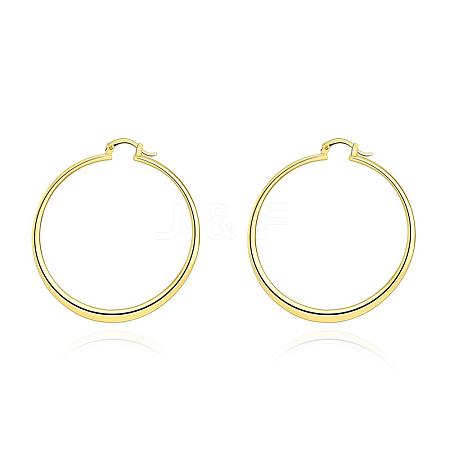 Perfect Design Ring Brass Hoop Earrings EJEW-BB01542-1