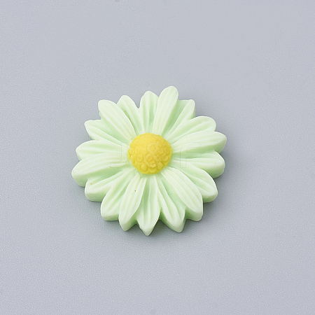 Resin Cabochons CRES-N007-10L-1