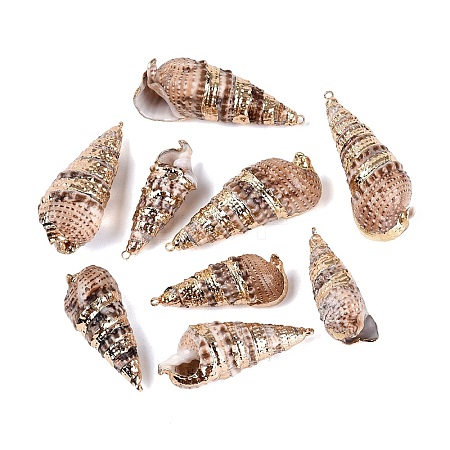 Electroplate Natural Spiral Shell Pendants SSHEL-Q100-33KCG-1