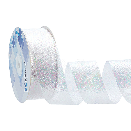 18M Iridescent Polyester Ribbon OCOR-WH0097-10A-1